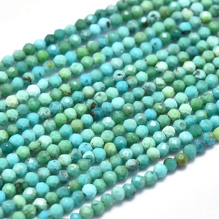 Natural HuBei Turquoise Beads Strands G-M353-A17-2mm-1