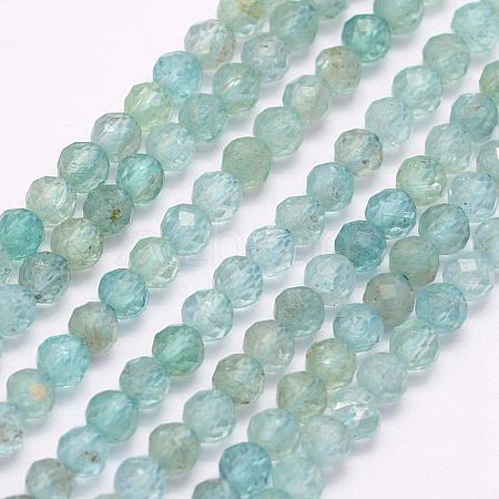 Natural Apatite Beads Strands G-I156-05-3mm-1