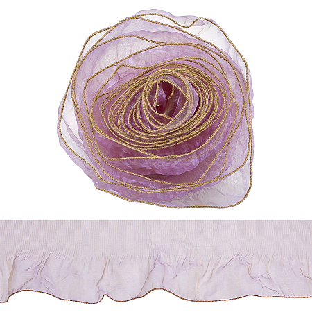 Polyester Lace Trim OCOR-WH0111-11-1