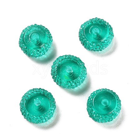 Transparent Resin Beads RESI-B020-08F-1