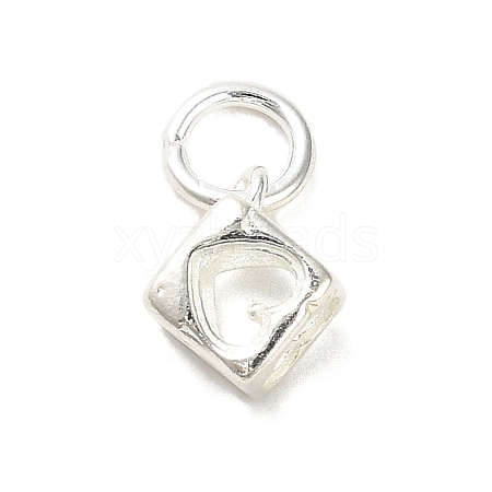 Sterling Silver Charms STER-E070-03A-1