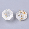 Two Tone Transparent Spray Painted Glass Beads LS-X-GLAA-N035-06A-G07-2