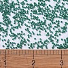 MIYUKI Delica Beads X-SEED-J020-DB0656-4