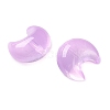 Baking Paint Transparent Glass Beads DGLA-F003-01J-2