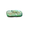 Natural Shell Beads BSHE-WH0001-06-3