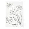 Silicone Clear Stamps DIY-A013-18-2