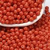 Opaque Colours Glass Seed Beads SEED-C001-02B-12-1