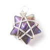 Wire Wrapped Electroplate Glass Charms PALLOY-JF01649-02-2