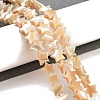 Star Natural White Shell Beads Strands BSHE-Q025-14B-2