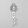Tibetan Style Zinc Alloy Big Pendants FIND-WH0139-675AS-2