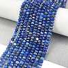 Natural Lapis Lazuli Beads Strands G-L587-B03-02-2