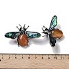 Tibetan Style Alloy Insect Brooches JEWB-A021-03AS-04-3