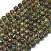 Natural Brazil Green Opal Beads Strands G-K389-A22-01-1