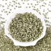 Transparent Inside Colours Glass Seed Beads SEED-T007-13O-1