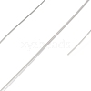 Non-Tarnish 10 Rolls 304 Stainless Steel Wire TWIR-H001-01F-P-2