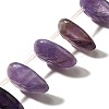 Natural Amethyst Beads Strands G-P561-A02-01-1