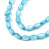 Freshwater Shell Beads Strands SHEL-T009-B15-05-3