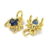 Rack Plating Brass Micro Pave Cubic Zirconia Spider Charms ZIRC-I065-02D-2