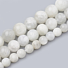 Natural Rainbow Moonstone Beads Strands G-S333-10mm-002-2