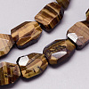 Natural Tiger Eye Beads Strands G-Q948-63-1