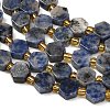 Natural Blue Spot Jasper Beads Strands G-F833-B16-01-3