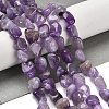 Natural Amethyst Beads Strands G-P497-01E-17-2