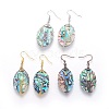 Abalone Shell/Paua Shell Dangle Earrings EJEW-L235-02-1