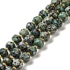 Natural African Turquoise(Jasper) Beads Strands G-P508-A06-01-1