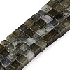 Natural Labradorite Beads Strands G-T139-6x6-19A-4