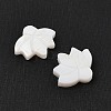 Natural Freshwater Shell Beads SHER-R100-05A-2