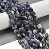 Natural Blue Spot Jasper Beads Strands G-P497-01E-67-2