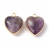 Natural Amethyst Pendants G-C005-01G-16-3