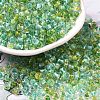 Transparent Glass Round Seed Beads SEED-B001-05A-10-1
