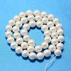 Round Shell Pearl Bead Strands X-BSHE-L011-4mm-A013A-3