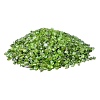 Natural & Dyed Peridot Tumbled Chips X-PW-WGA7DCE-05-1