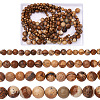 4 Strands 4 Sizes Natural Picture Jasper Beads Strands G-TA0001-29-1