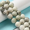 Natural Dendritic Jasper Beads Strands G-H298-A15-05-2