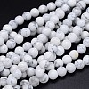 Round Natural Howlite Bead Strands LS-G-F222-14-8mm-1