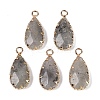 Natural Labradorite Faceted Pendants G-Q606-104G-04-1