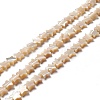 Natural Trochid Shell/Trochus Shell Beads SSHEL-O001-25B-01-3