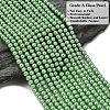 Eco-Friendly Dyed Glass Pearl Round Beads Strands HY-A002-4mm-RB008N-4