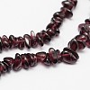 Chips Natural Garnet Beads Strands X-G-N0164-47-2