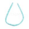 Handmade Lampwork Beads Strands LAMP-Q037-02B-09-2