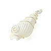 Natural Trumpet Shell Pendants PALLOY-JF02794-02-4