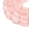 Natural Rose Quartz Beads Strands G-L634-F01-02-4