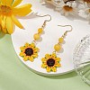 Glass Seed Beads Dangle Earrings EJEW-MZ00328-1