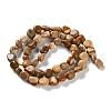 Natural Picture Jasper Beads Strands G-P497-01C-25-3