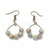 Natural Aqua Terra Jasper Dangle Earrings EJEW-S202-011B-3