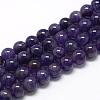 Natural Amethyst Beads Strands G-R446-10mm-21-1