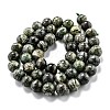 Natural Green Zebra Jasper Beads Strands G-L574-05B-2